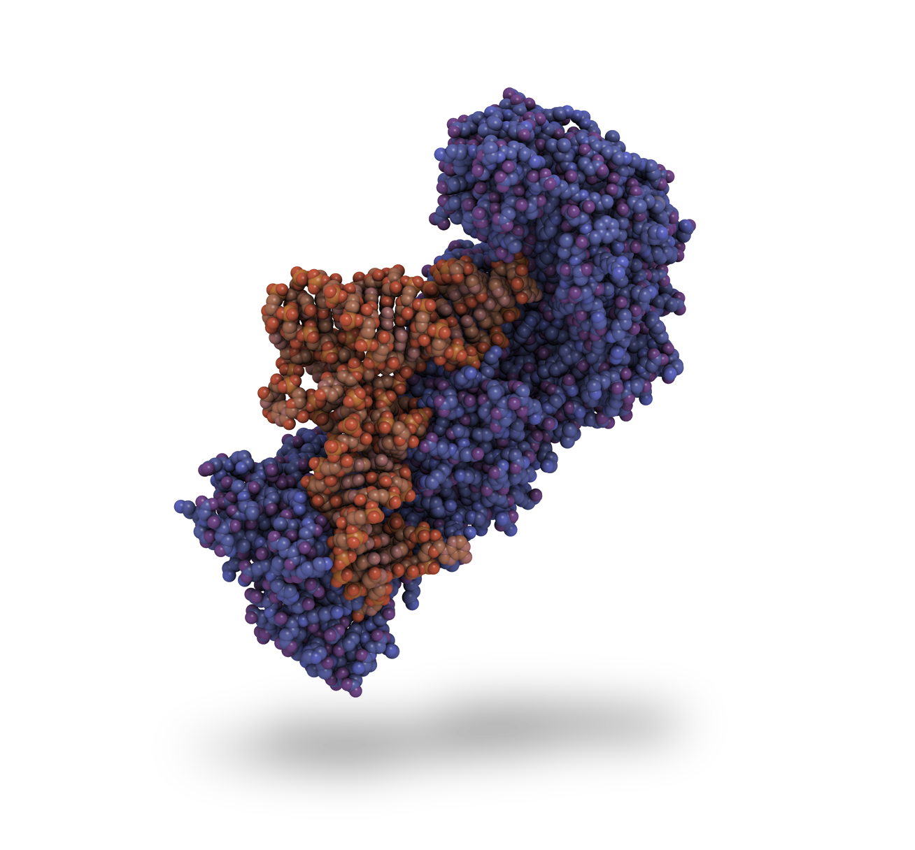 Aminoacyl-tRNA synthetases